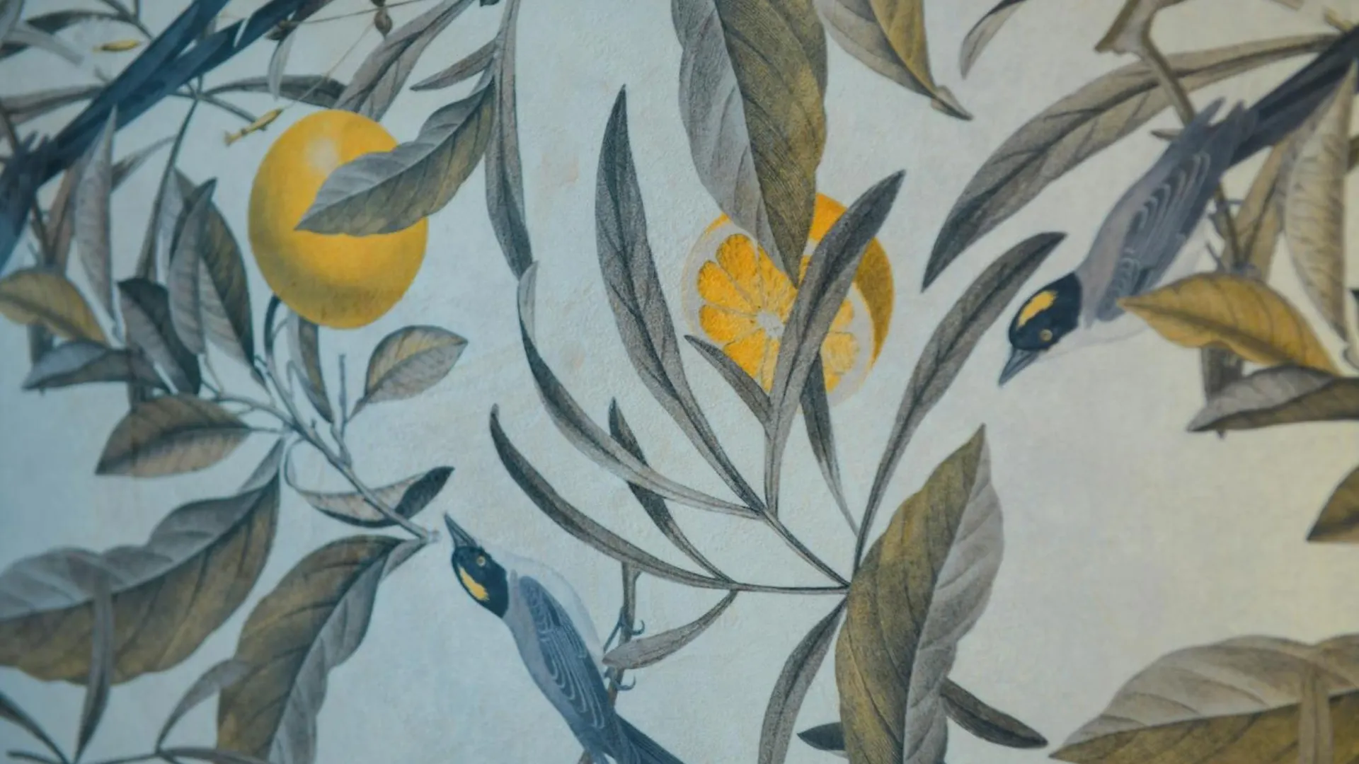 B&B Magnolia Florencja
